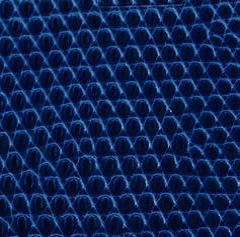  Lézard Brillant - Bleu Lapis