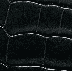  Alligator Semi Mat - Noir