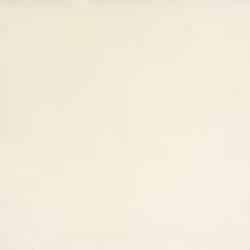  Rubber - White Plate