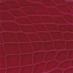  Alligator Brillant - Framboise