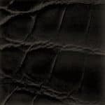  Alligator semi mat - Marron foncé