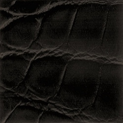  Alligator semi mat - Marron foncé