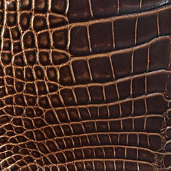  Prestige Alligator - Golden Brown