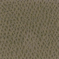  Embossed Calf - Taupe