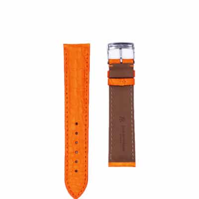 watch strap alligator 20mm