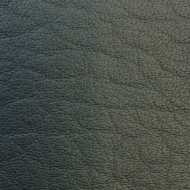watch strap leather 20mm