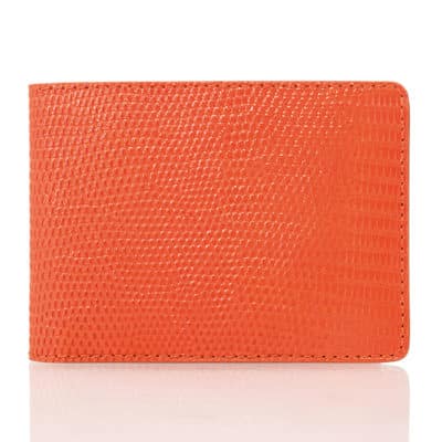 “Hipster” wallet orange lizard