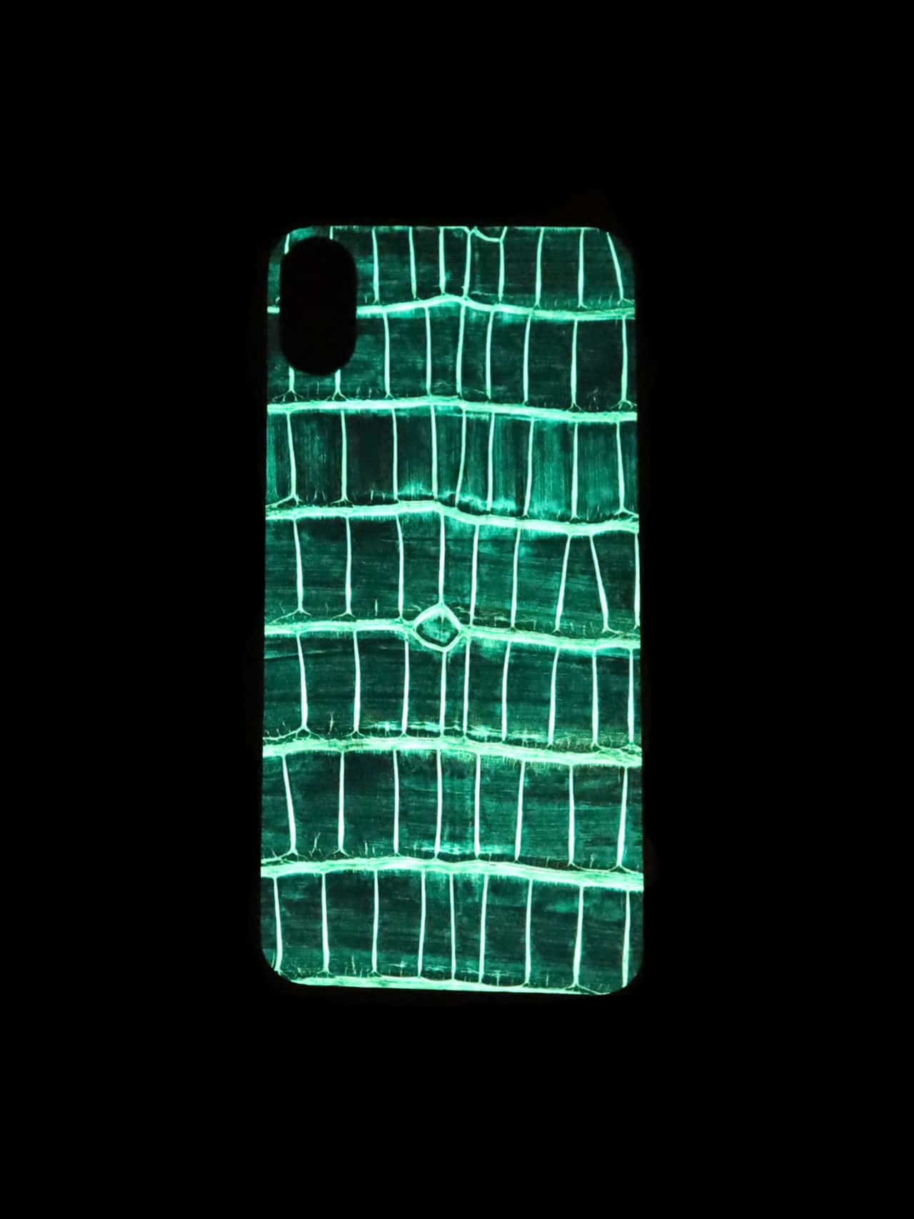 Iphone case alligator