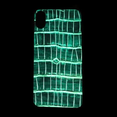 iphone case crocodile apple phosphorescent black green blue