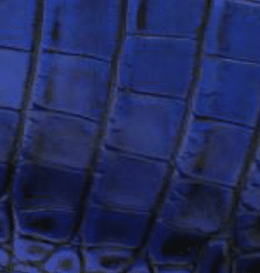  Alligator - Bleu métallique