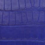 blue alligator