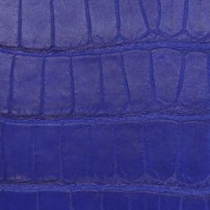 blue alligator