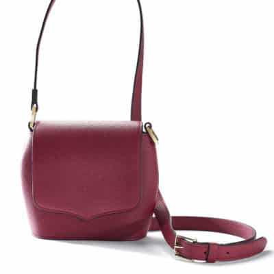 Mini Sam handbag burgundy calf