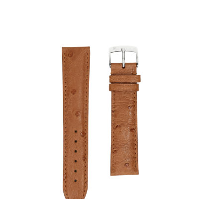 Classic watch strap Ostrich brown men