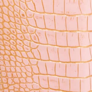  Alligator Special - Pink & Gold