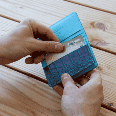 Business cardholder blue and pink Graffiti exception alligator