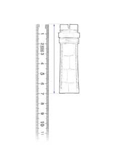 measure bottom watch strap ruler rule