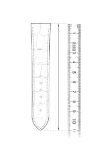 measure length watch strap ruler