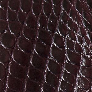  Alligator Brillant - Violet