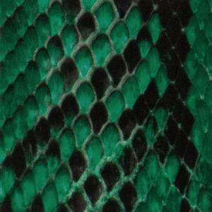  python – green