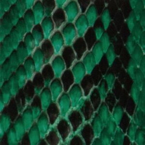  Python – Green