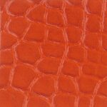  Alligator Brillant – Orange