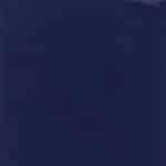  Plain Calf – Glossy Navy Blue