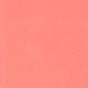  Plain Calf – Glossy Coral