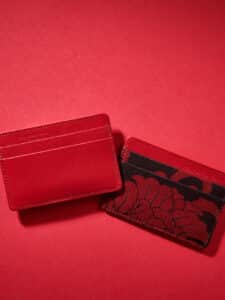 "Essentiel" slim cardholder Sawaya collection Edokomon red