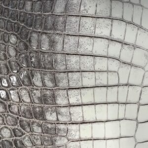  Etretat Crocodile - Natural Shiny