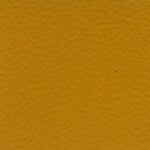  Chèvre – Jaune