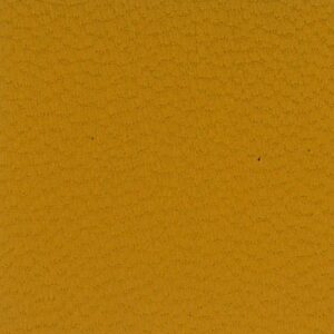  Chèvre – Jaune