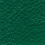  Ostrich - Emerald