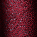  Himeji Kurozan - Rouge