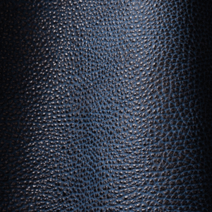  Himeji Kurozan - Bleu